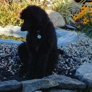 Meet your Posher, Patti